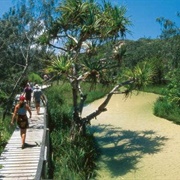 Fraser Island Great Walk, Australia