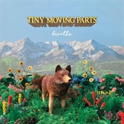 Tiny Moving Parts - Polar Bear