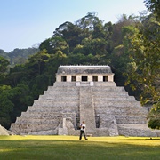 Palenque (Mexico)