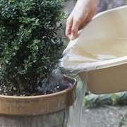 Reuse Greywater in Garden