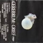 Cerebrum - Grief