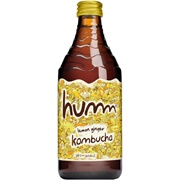 Humm Lemon Ginger Kombucha