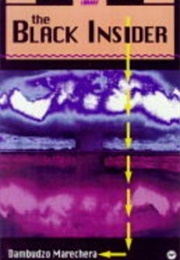 The Black Insider (Dambudzo Marechera)