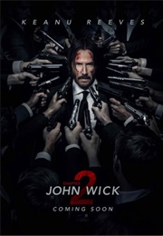 John Wick: Chapter 2 (2017)