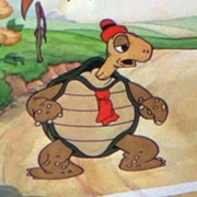 Tortoise