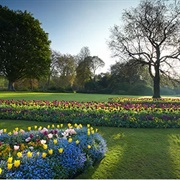 Hyde Park, London