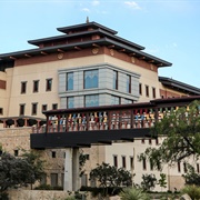 University of Texas at El Paso