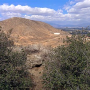 Jurupa Oak, Crestmore Heights, California, USA