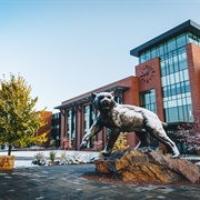 Northern Michigan University