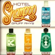 Vitamin K - Gruff Rhys