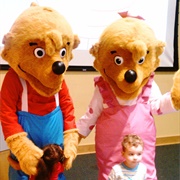 Berenstain Bears Costume