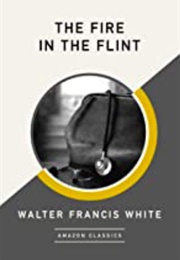 The Fire in the Flint (Walter Francis White)