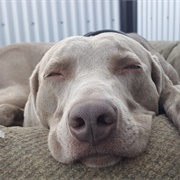 Chained Is as Good as a Rest