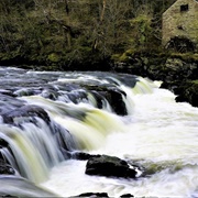 Cenarth Falls & Cenarth, Wales