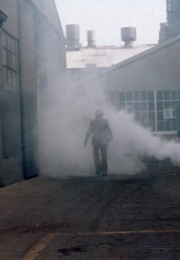 The Reference Section (1980)