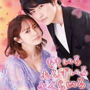 Momoiro Anzuiro Sakurairo