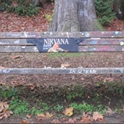 Kurt Cobain Benches, Viretta Park
