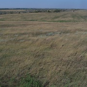 Santa Fe Trail Shortgrass Prairie