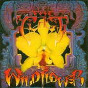Wild Flower - The Cult