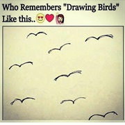 Drawing Birds Like This
