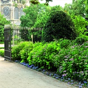 21 Juli-Square Laeken