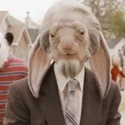 Rabbit Man