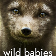 Wild Babies