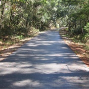 Palatka-To-Lake Butler State Trail