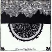 The Spacious Mind - Organic Mind Solution