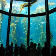 Monterey Bay Aquarium, USA