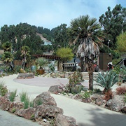 University of California Botanical Garden