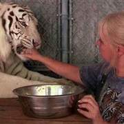 Feed Animals for Protection