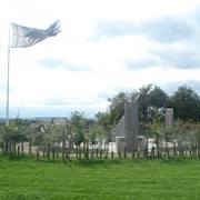 Bosworth Field (Death of Richard III)