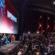 Attend a Film Festival