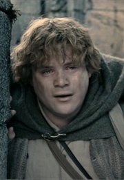 Sean Astin – 'The Lord of the Rings' Series (2001) - (2003)