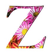 Z