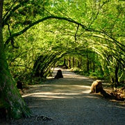 Mundy Park, Coquitlam, BC, Canada