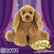 Signature Cocker Spaniel