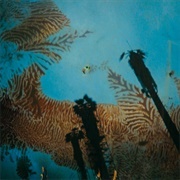 Niños Del Cerro - Nonato Coo