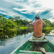 Survival Trekking in the Amazon Jungle, Brazil