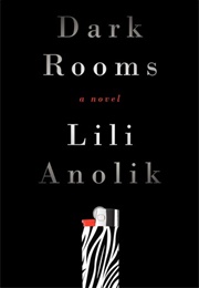 Dark Rooms (Lili Anolik)