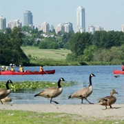 Deer Lake Park, Burnaby, BC, Canada