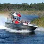 Air Boat Across an Alligator Infested Swamp