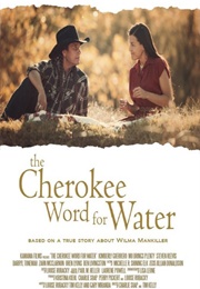 The Cherokee Word for Water (2013)