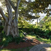 Wendy's Secret Garden