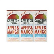 Mango Juice Cartons (3 Packs)