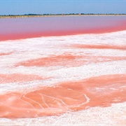 Emilia-Romagna  Salt