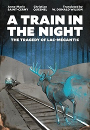 A Train in the Night (Anne-Marie Saint-Cerny)