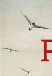 Pathway of the Birds (Andrew Crowe)