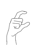 Polish Sign Language